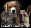 Canada's-guide-to-dogs-magazine